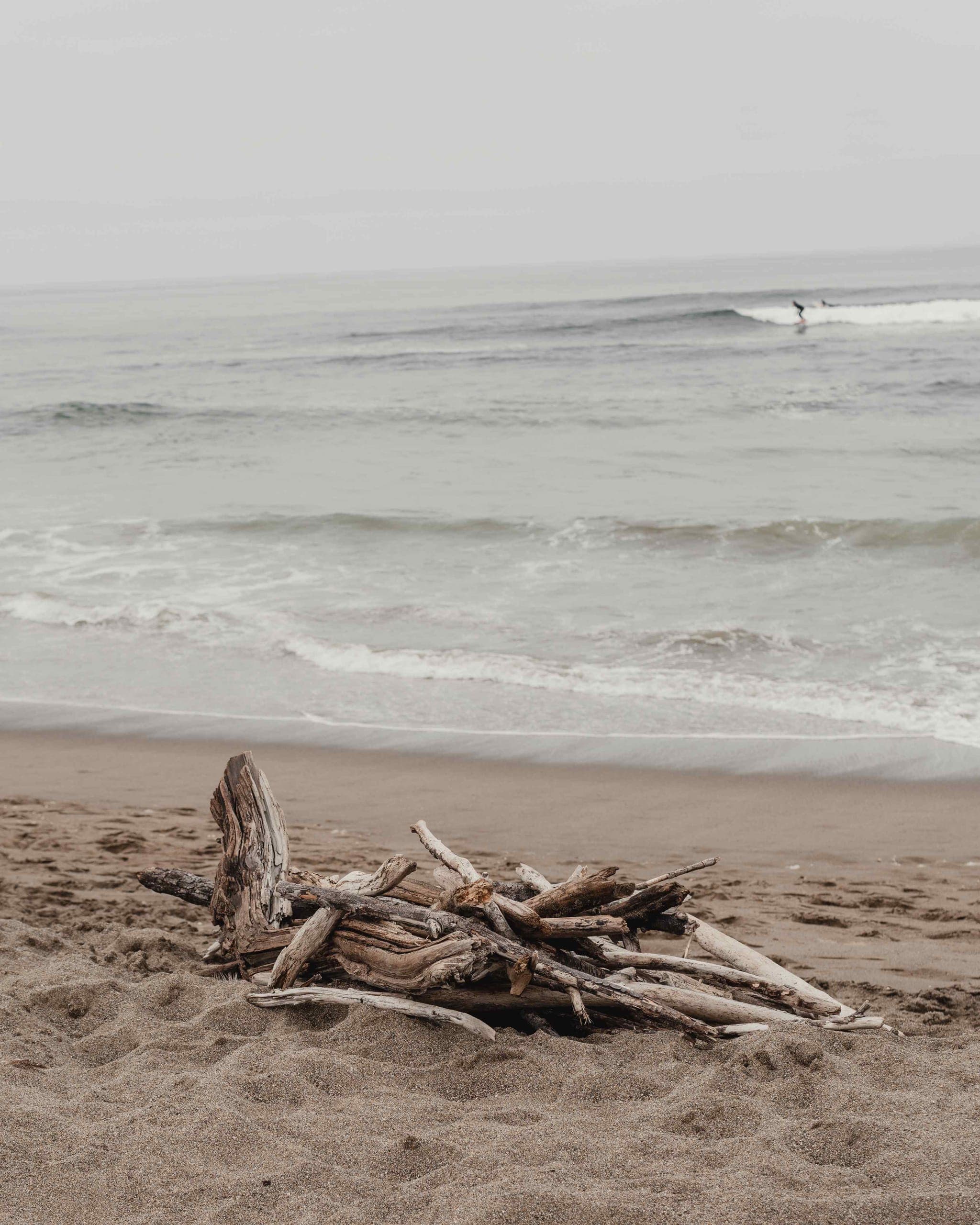 Photograph 9